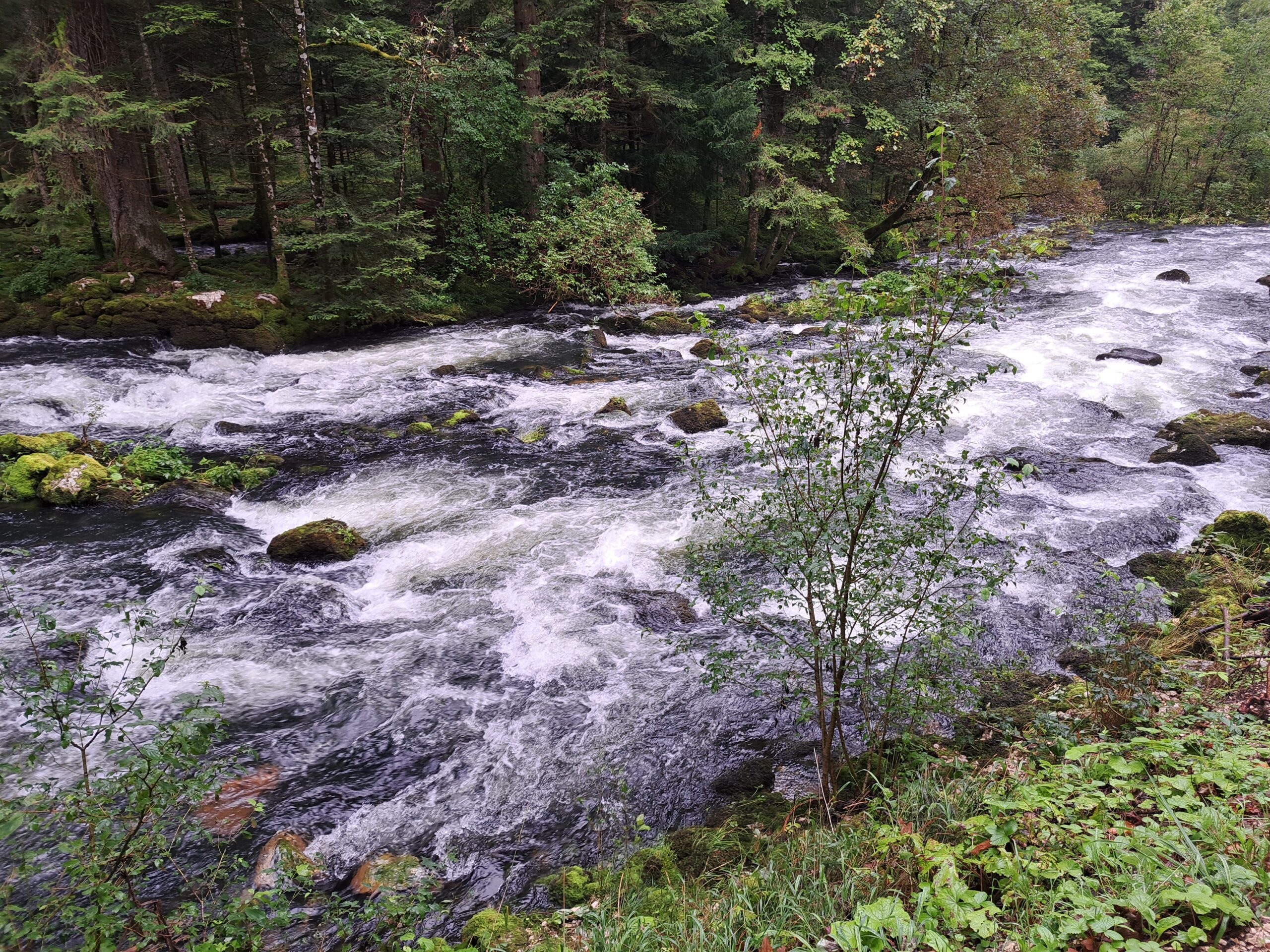 Rivière à Vallorbe